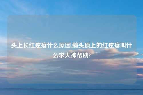 头上长红疙瘩什么原因,鹅头顶上的红疙瘩叫什么求大神帮助?