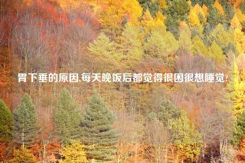 胃下垂的原因,每天晚饭后都觉得很困很想睡觉?