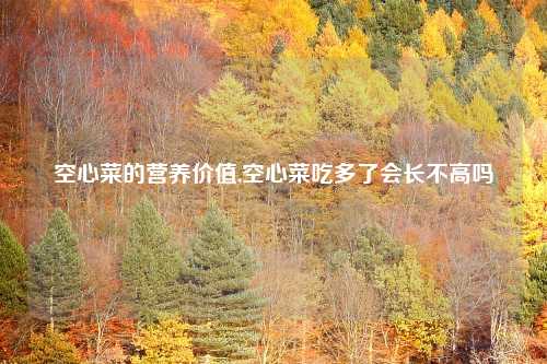 空心菜的营养价值,空心菜吃多了会长不高吗
