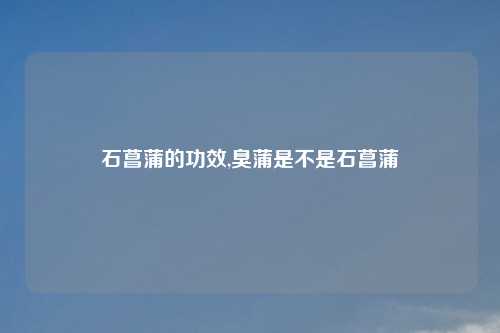 石菖蒲的功效,臭蒲是不是石菖蒲