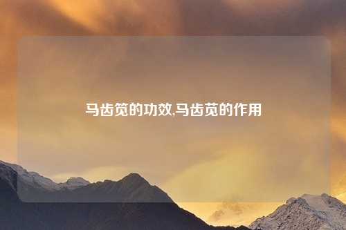 马齿笕的功效,马齿苋的作用