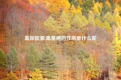 血尿胶囊,血塞通的作用是什么呢