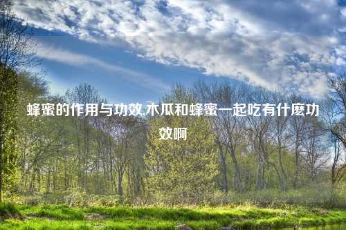 蜂蜜的作用与功效,木瓜和蜂蜜一起吃有什麽功效啊