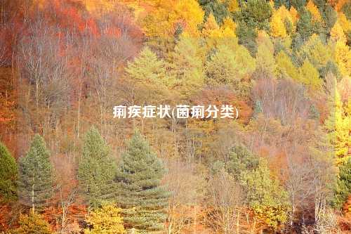 痢疾症状(菌痢分类)