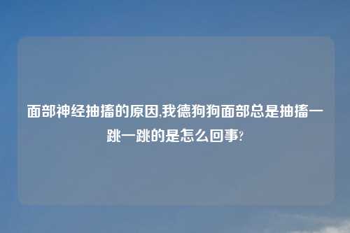 面部神经抽搐的原因,我德狗狗面部总是抽搐一跳一跳的是怎么回事?