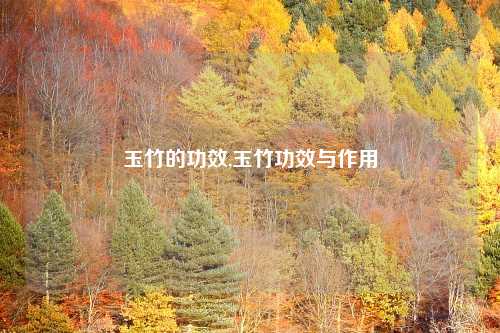 玉竹的功效,玉竹功效与作用