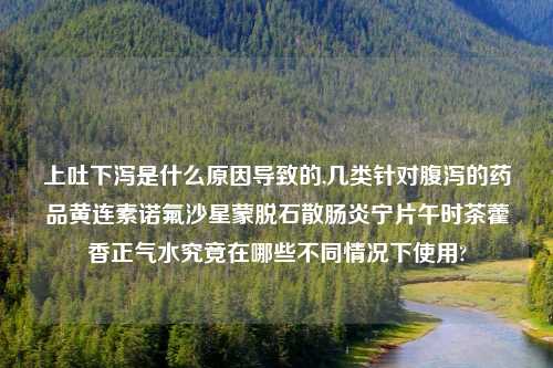 上吐下泻是什么原因导致的,几类针对腹泻的药品黄连素诺氟沙星蒙脱石散肠炎宁片午时茶藿香正气水究竟在哪些不同情况下使用?