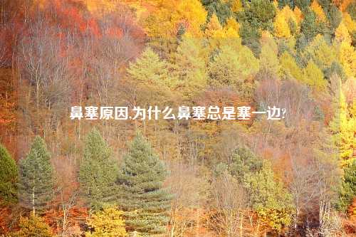 鼻塞原因,为什么鼻塞总是塞一边?