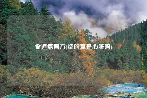 食道癌偏方(烧的真是心脏吗)