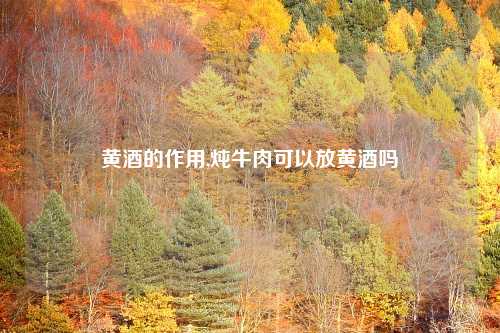 黄酒的作用,炖牛肉可以放黄酒吗