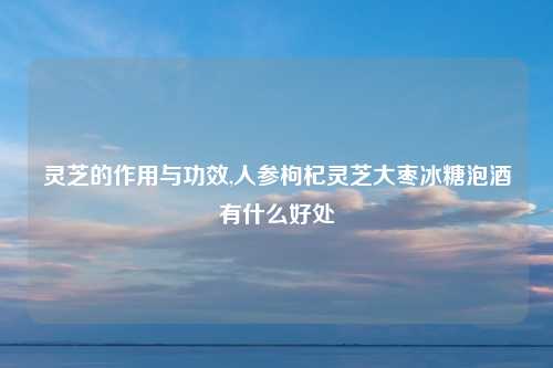 灵芝的作用与功效,人参枸杞灵芝大枣冰糖泡酒有什么好处