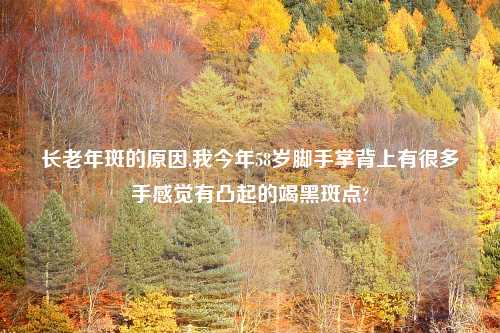 长老年斑的原因,我今年58岁脚手掌背上有很多手感觉有凸起的竭黑斑点?