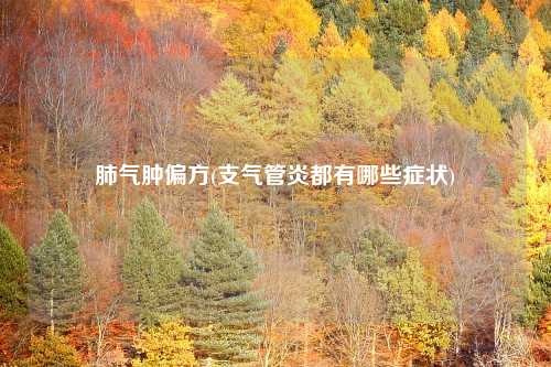肺气肿偏方(支气管炎都有哪些症状)