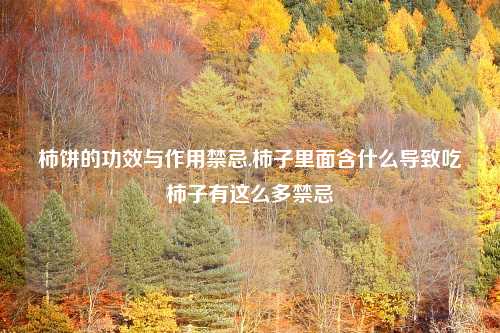 柿饼的功效与作用禁忌,柿子里面含什么导致吃柿子有这么多禁忌