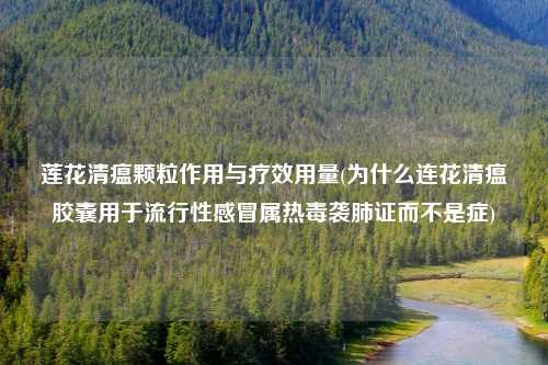 莲花清瘟颗粒作用与疗效用量(为什么连花清瘟胶囊用于流行性感冒属热毒袭肺证而不是症)