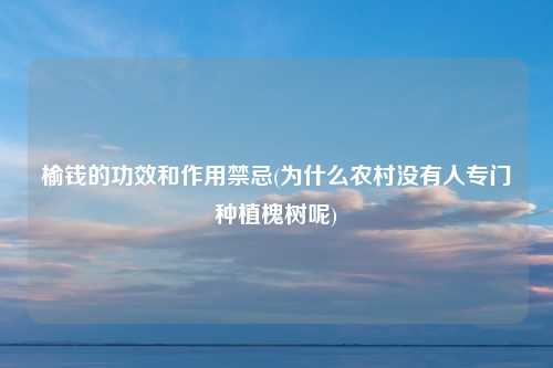 榆钱的功效和作用禁忌(为什么农村没有人专门种植槐树呢)