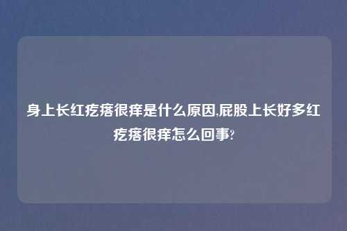 身上长红疙瘩很痒是什么原因,屁股上长好多红疙瘩很痒怎么回事?