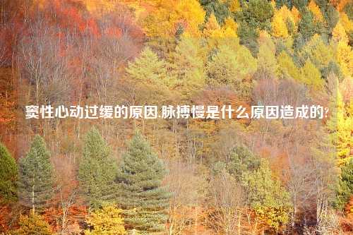 窦性心动过缓的原因,脉搏慢是什么原因造成的?