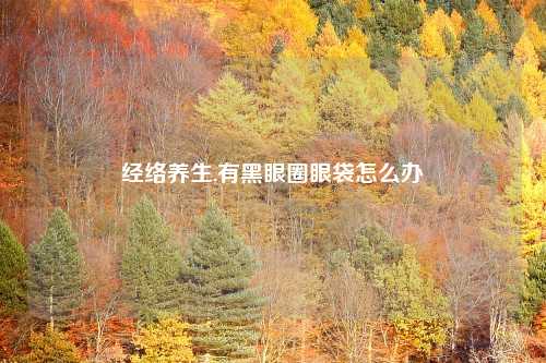 经络养生,有黑眼圈眼袋怎么办