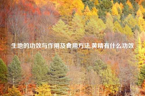生地的功效与作用及食用方法,黄精有什么功效