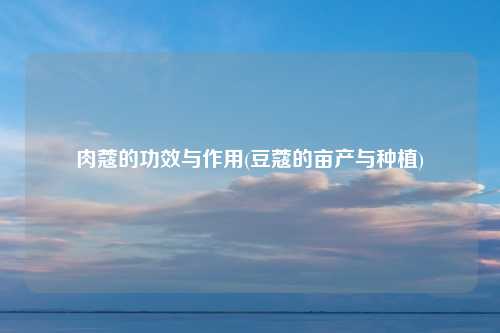 肉蔻的功效与作用(豆蔻的亩产与种植)