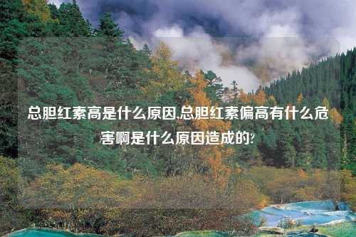 总胆红素高是什么原因,总胆红素偏高有什么危害啊是什么原因造成的?