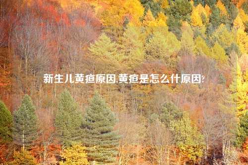 新生儿黄疸原因,黄疸是怎么什原因?