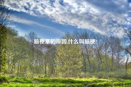 脑梗塞的原因,什么叫脑梗?