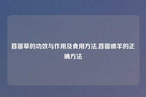 苜蓿草的功效与作用及食用方法,苜蓿喂羊的正确方法