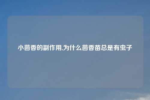 小茴香的副作用,为什么茴香苗总是有虫子