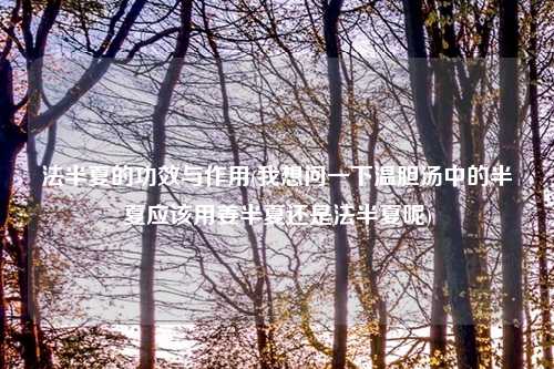 法半夏的功效与作用(我想问一下温胆汤中的半夏应该用姜半夏还是法半夏呢)