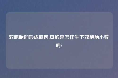 双胞胎的形成原因,母猴是怎样生下双胞胎小猴的?