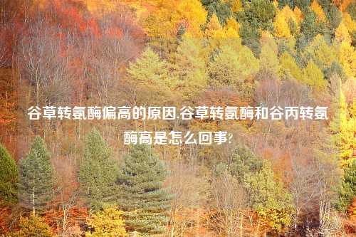 谷草转氨酶偏高的原因,谷草转氨酶和谷丙转氨酶高是怎么回事?