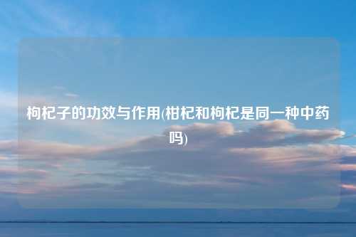 枸杞子的功效与作用(柑杞和枸杞是同一种中药吗)