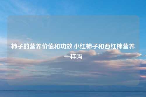 柿子的营养价值和功效,小红柿子和西红柿营养一样吗