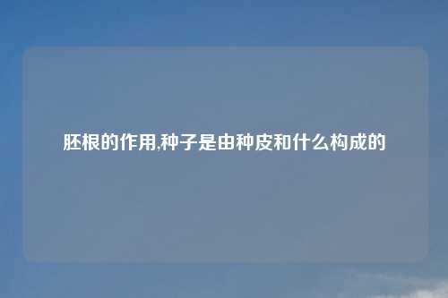 胚根的作用,种子是由种皮和什么构成的