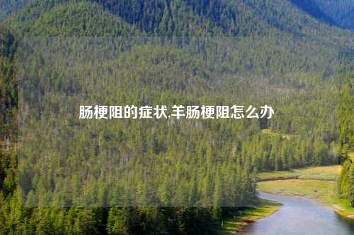 肠梗阻的症状,羊肠梗阻怎么办