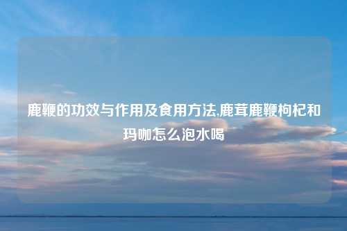 鹿鞭的功效与作用及食用方法,鹿茸鹿鞭枸杞和玛咖怎么泡水喝