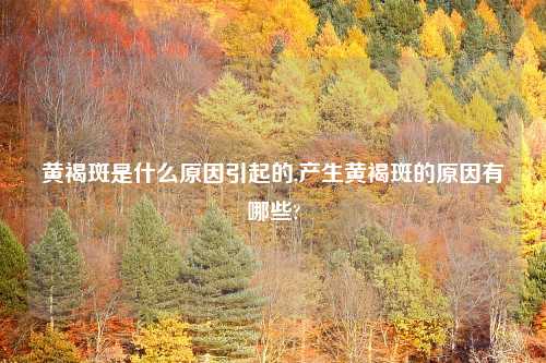 黄褐斑是什么原因引起的,产生黄褐斑的原因有哪些?