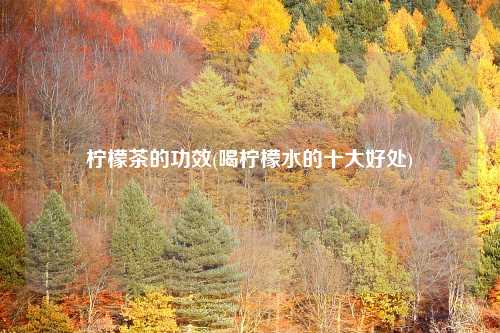 柠檬茶的功效(喝柠檬水的十大好处)