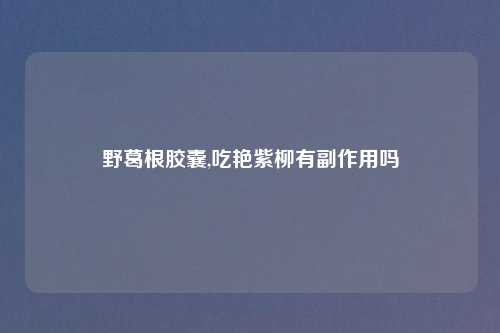 野葛根胶囊,吃艳紫柳有副作用吗