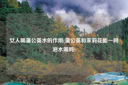 女人喝蒲公英水的作用(蒲公英和茉莉花能一同泡水喝吗)
