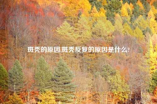 斑秃的原因,斑秃反复的原因是什么?