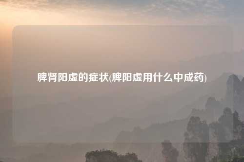 脾肾阳虚的症状(脾阳虚用什么中成药)