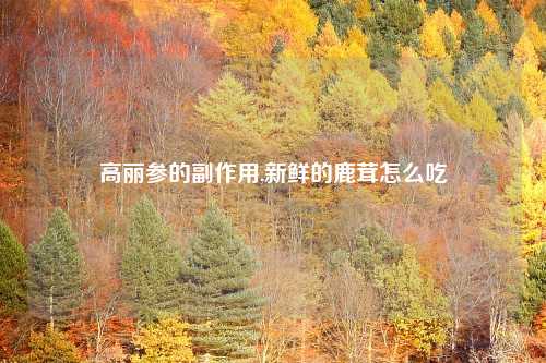 高丽参的副作用,新鲜的鹿茸怎么吃