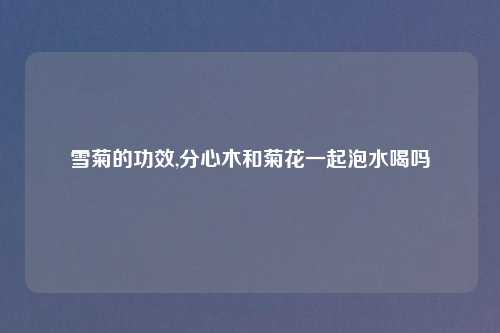 雪菊的功效,分心木和菊花一起泡水喝吗