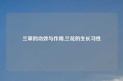 兰草的功效与作用,兰花的生长习性