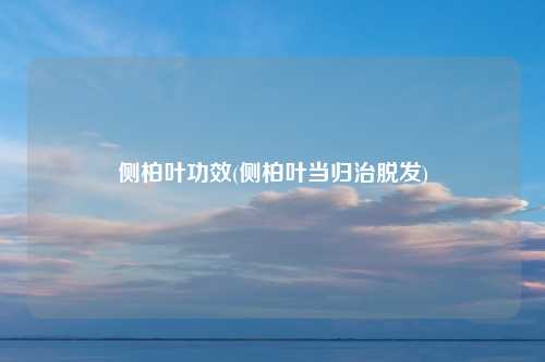 侧柏叶功效(侧柏叶当归治脱发)