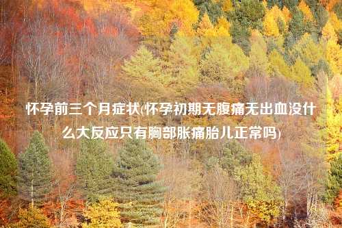 怀孕前三个月症状(怀孕初期无腹痛无出血没什么大反应只有胸部胀痛胎儿正常吗)