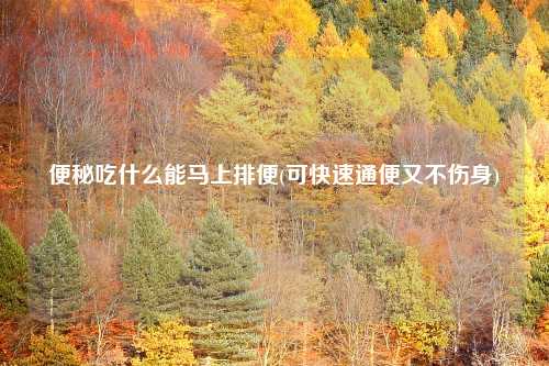 便秘吃什么能马上排便(可快速通便又不伤身)